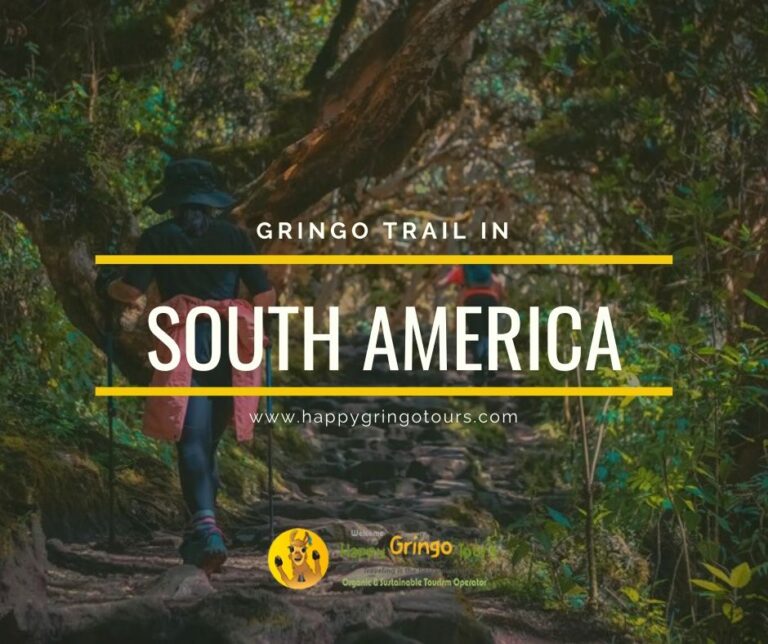 South America