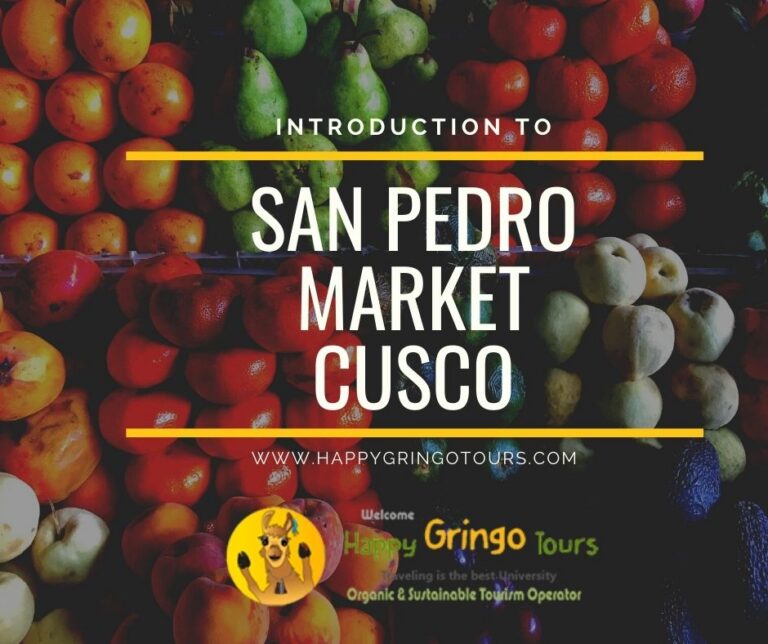 Introduction To San Pedro Market Cusco