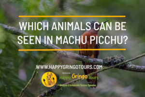 Which Animals Can Be Seen in Machu Picchu?