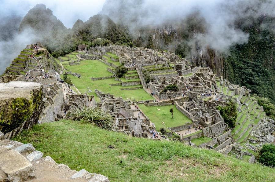 The Coca Leaf and Its Importance in the Inca Culture