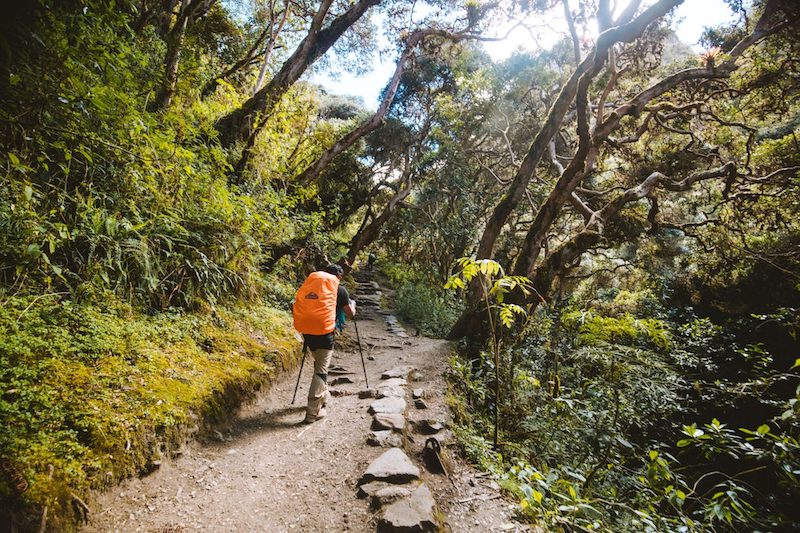 Inca Trail Packing List for Machu Picchu, Best Time To Hike The Inca Trail to Machu Picchu