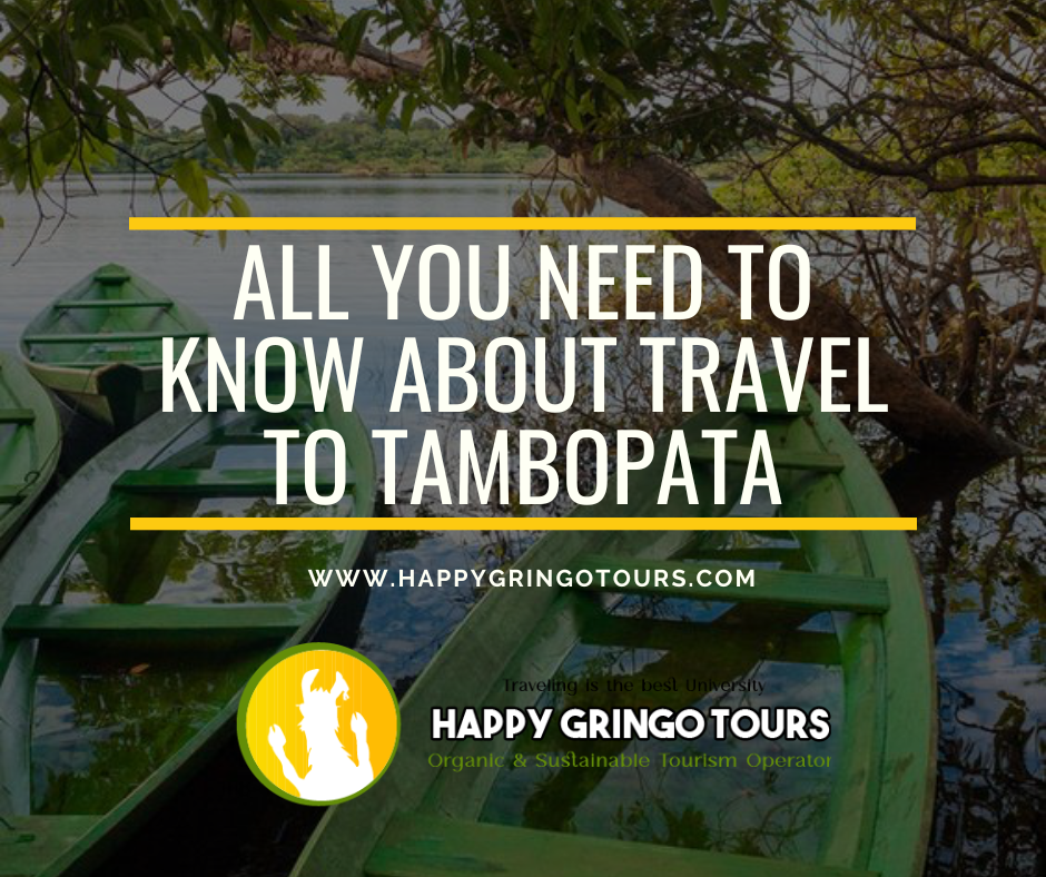 All You Need to Know About Travel to Tambopata