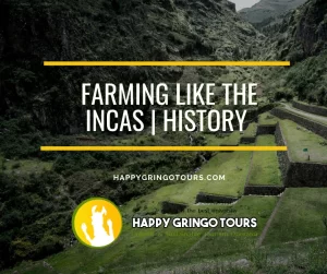Farming Like the Incas | History