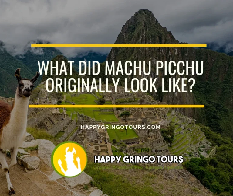 What did Machu Picchu originally look like?