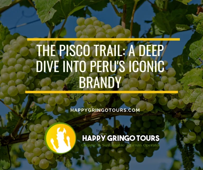 The Pisco Trail: A Deep Dive into Peru's Iconic Brandy