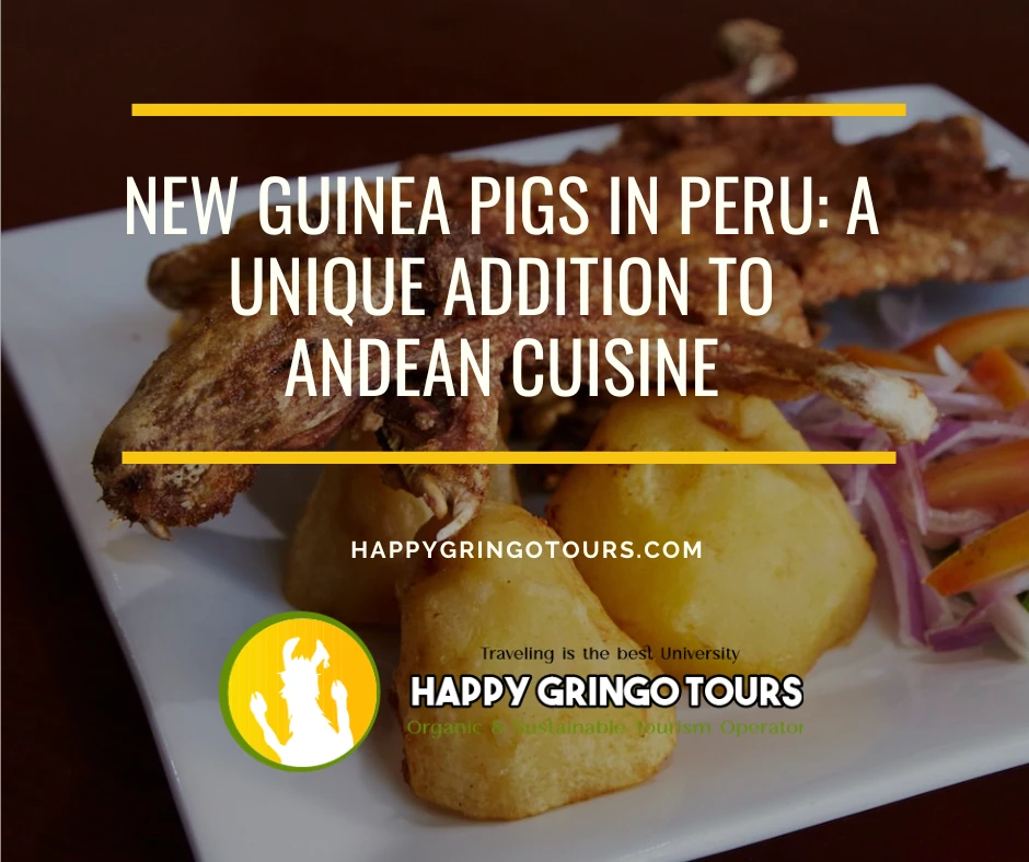 New Guinea Pigs in Peru