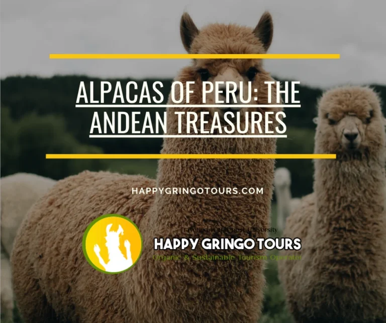 Alpacas of Peru: The Andean Treasures