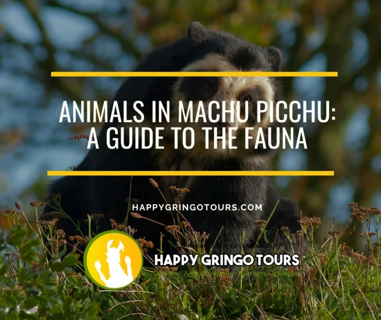 Animals in Machu Picchu: A Guide to the Fauna