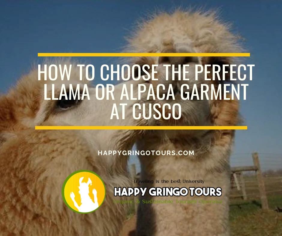 How to Choose the Perfect Llama or Alpaca Garment at Cusco