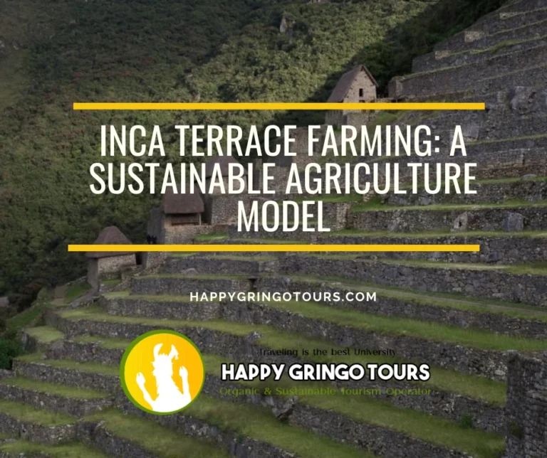 Inca Terrace Farming: A Sustainable Agriculture Model