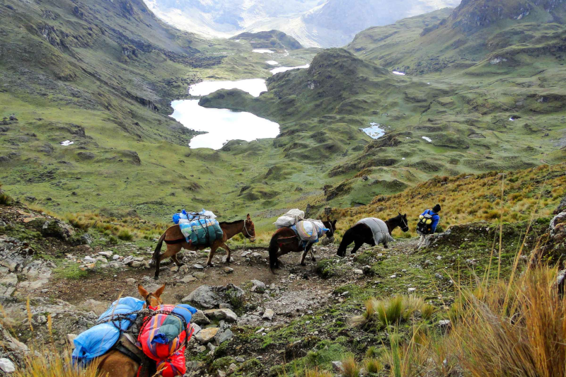 Lares trek to Machu Picchu