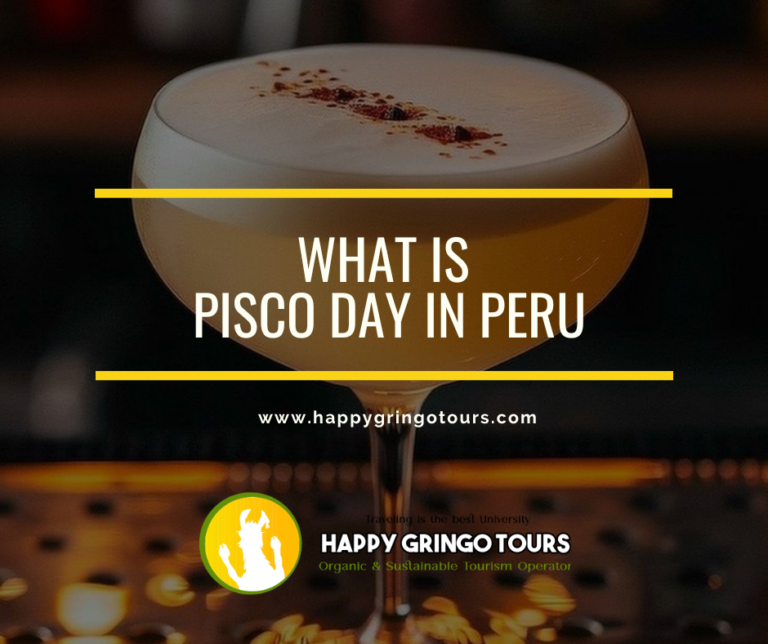 Pisco Day In Peru