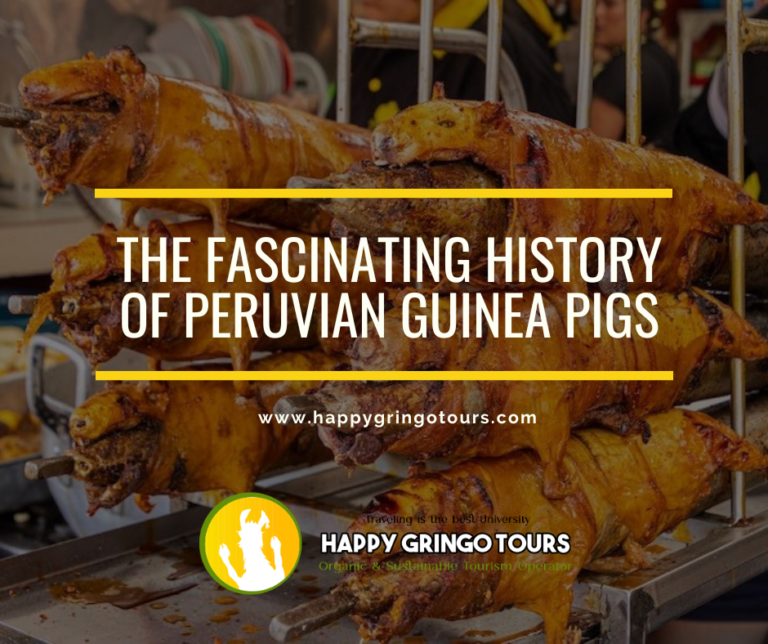 The Fascinating History of Peruvian Guinea Pigs
