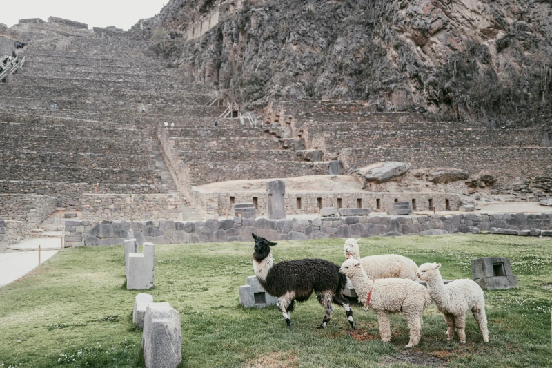 best month to visit machu picchu
