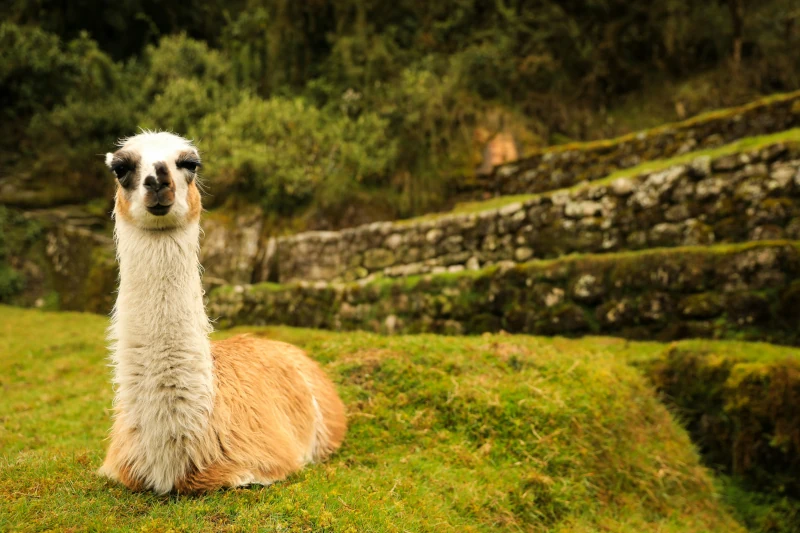 best month to visit machu picchu 