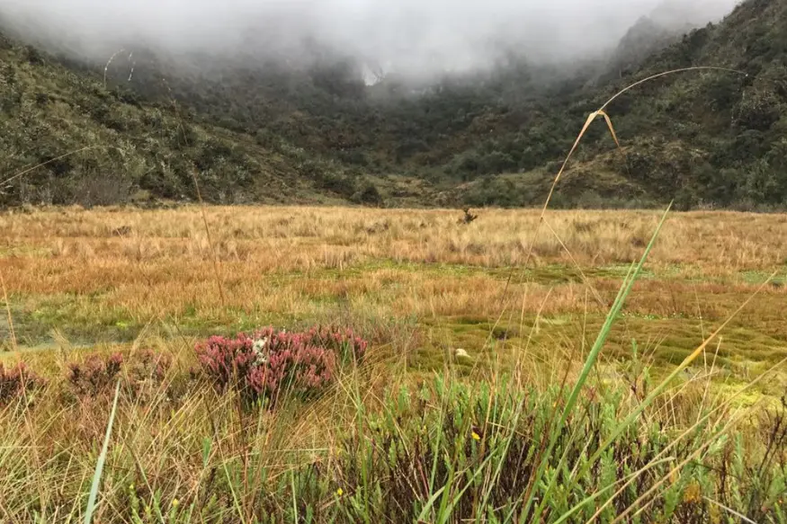 pacaymayo valley inca trail 4 days