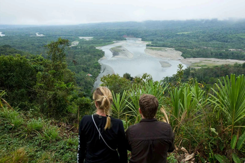 Wildlife Encounters on Jungle Adventures in Peru