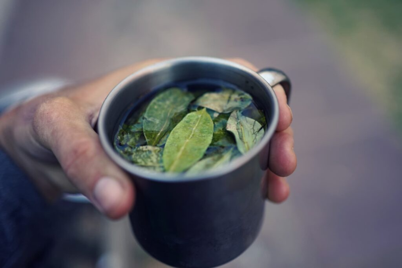 Coca tea