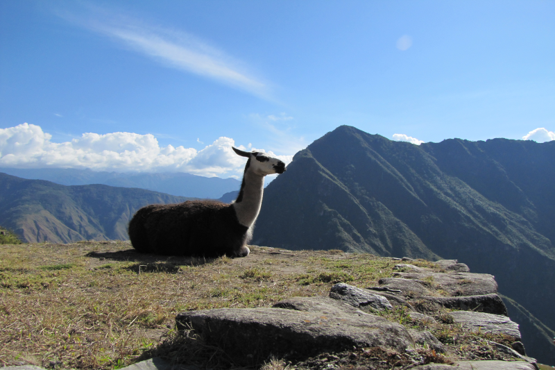 Machu Picchu UNESCO world Heritage