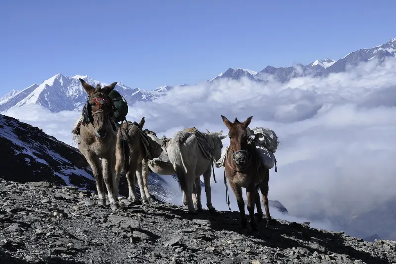 ausangate mountain