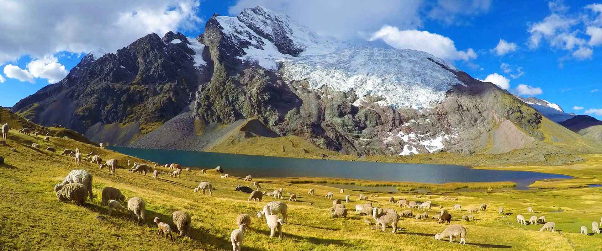 Ausangate Rainbow Mountain Trek