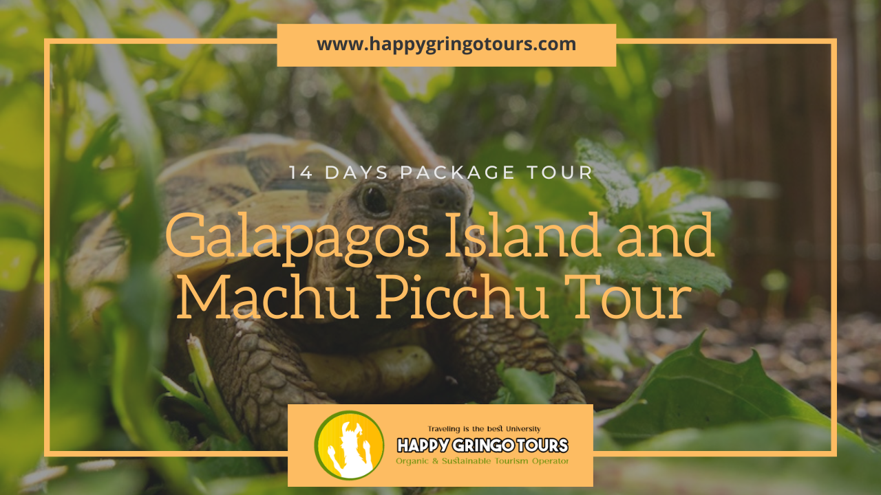 Galapagos Islands and Machu Picchu Tour 14D/13N