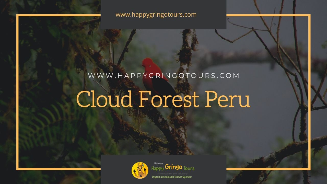 Manu National Park tours from Cusco - 3 Day Manu Tour