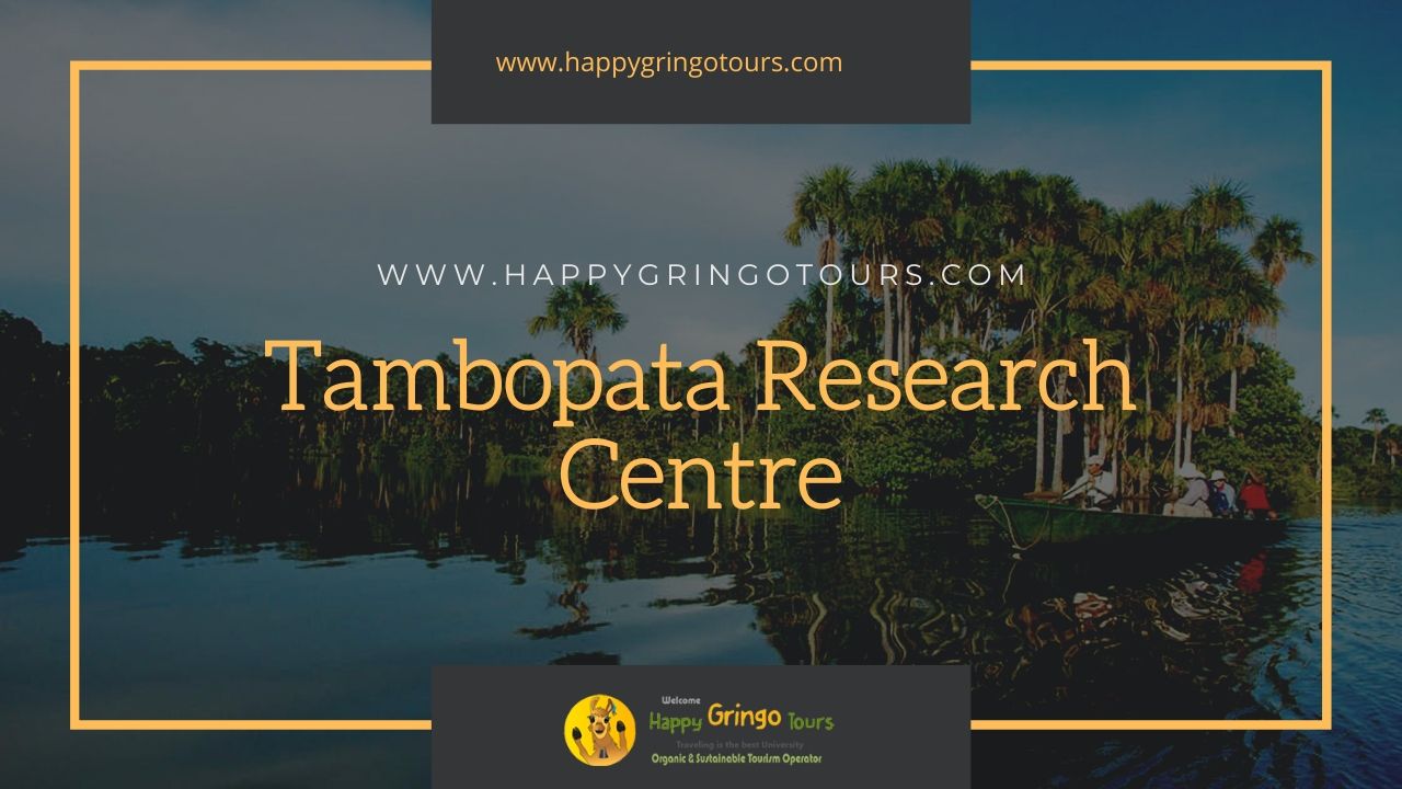 Tambopata Research Centre
