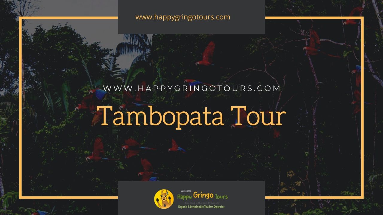 Tambopata Tour