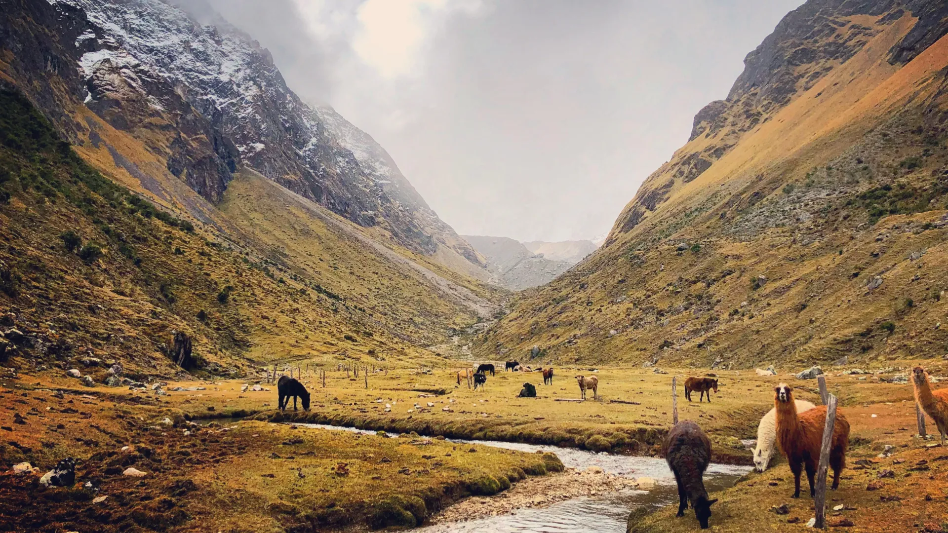 Traveler walking through Salkantay mountain landscape