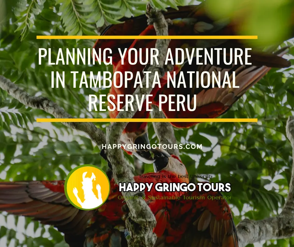 Planning your adventure in tambopata national reserve peru 