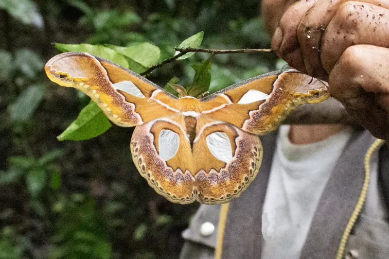 Things to do in Aguas Calientes​
